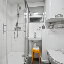 Draupromenade 12 Villach – Top 2 Gold – bathroom with glass shower cubicle, hand shower, washbasin and mirror cabinet