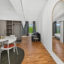 Draupromenade 12 Villach – Top 3 Drau – open-plan room with round dining table, built-in wardrobe, sofa at the window and gold arched full-length mirror