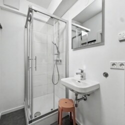 Draupromenade 12 Villach – Top 4 Pink – bathroom with glass shower cubicle, hand shower, washbasin and mirror