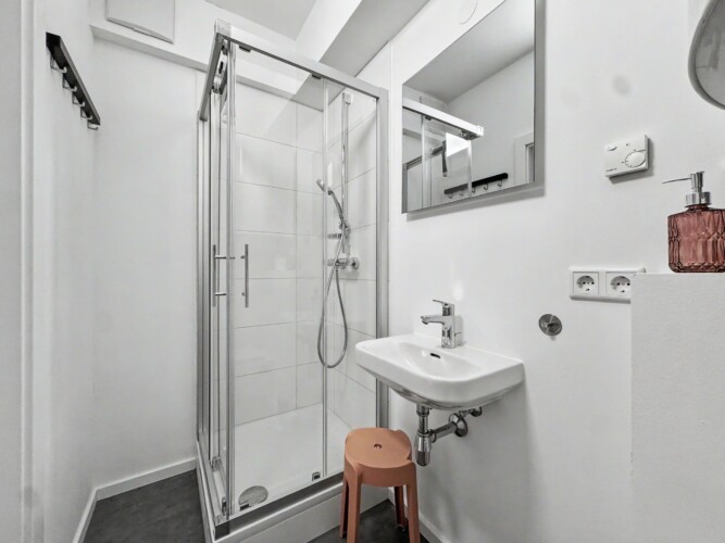 Draupromenade 12 Villach – Top 4 Pink – bathroom with glass shower cubicle, hand shower, washbasin and mirror