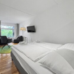 Draupromenade 12 Villach – Top 5 Grasgrün – open room with king bed, wall-mounted TV and lounge corner beyond