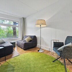 Draupromenade 12 Villach – Top 5 Grasgrün – lounge corner with two grey fold-out sofas, two swivel chairs and round grass-green rug