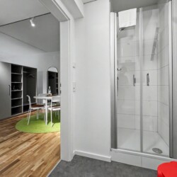 Draupromenade 12 Villach – Top 5 Grasgrün – bathroom with glass shower cubicle and hand shower on a rail, open wardrobe niche with hangers in the background
