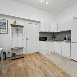 Walk-in shower with glass partition in modern bathroom of Vienna Altbau apartment