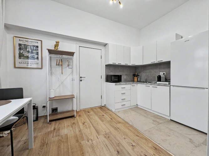 Walk-in shower with glass partition in modern bathroom of Vienna Altbau apartment