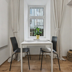 Fully equipped kitchen with stove, refrigerator and coffee machine in Vienna Altbau apartment