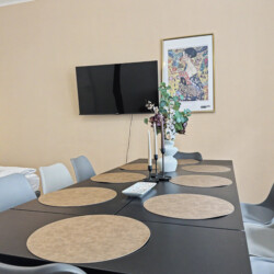 Master bedroom with double bed and air conditioning in Vienna Altbau apartment