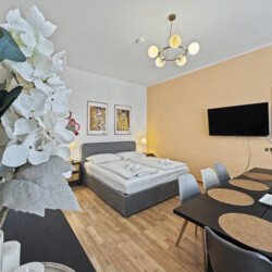 Master bedroom window with natural light and high ceilings in Vienna short-term rental
