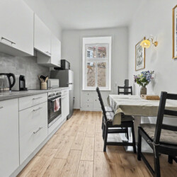 Second bedroom wardrobe and storage space in spacious Vienna short-term rental