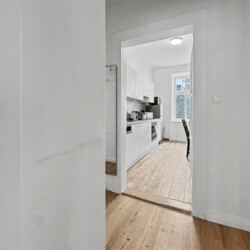 Bathroom with bathtub and checkerboard floor tiles in Vienna Altbau apartment