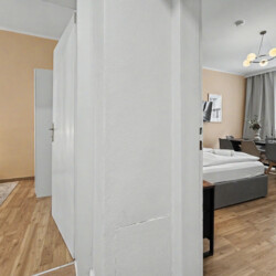 Bathtub detail and shower fixtures in classic Vienna Altbau apartment bathroom