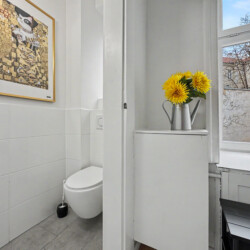 Window view and natural light in bright Vienna Altbau apartment near Hundertwasserhaus