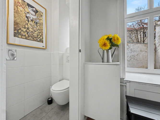 Window view and natural light in bright Vienna Altbau apartment near Hundertwasserhaus